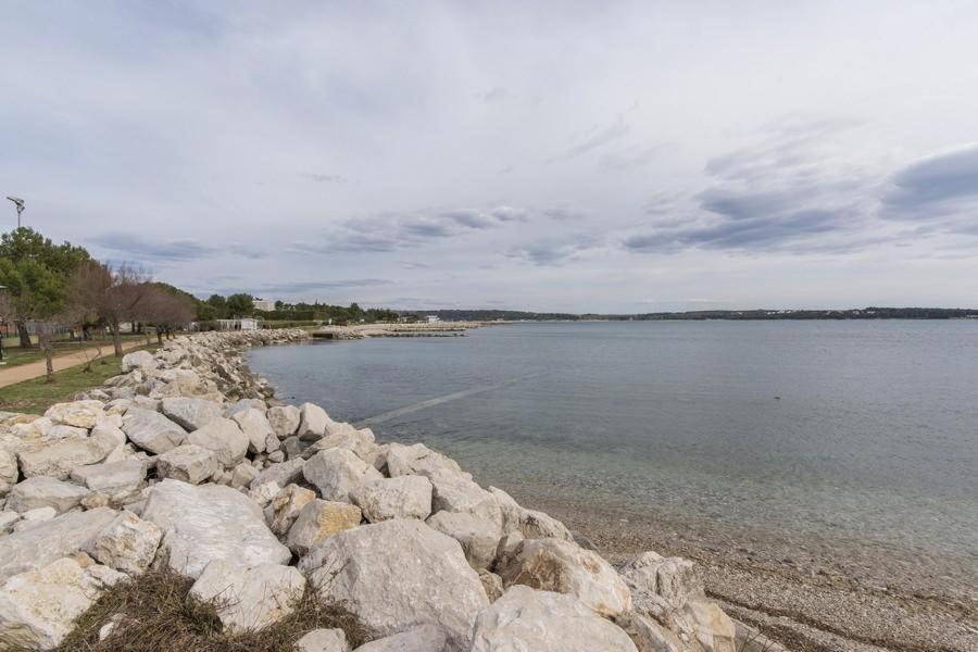 Apartment Zak Novigrad  Bagian luar foto
