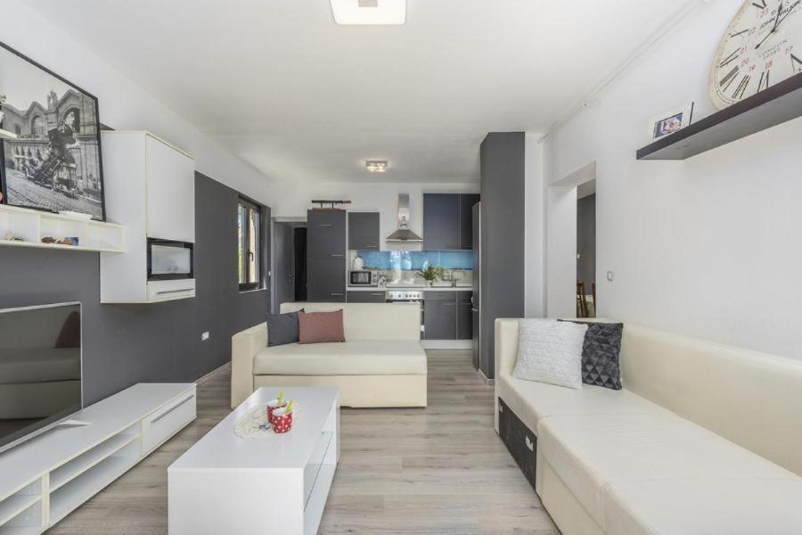 Apartment Zak Novigrad  Bagian luar foto